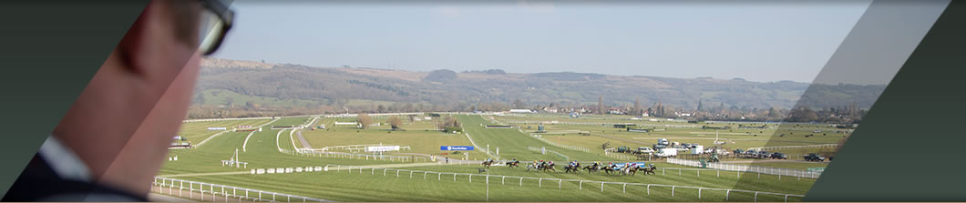 Cheltenham Festival - Executive Box Hospitality