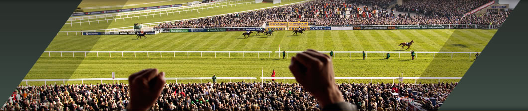 Cheltenham Festival – 16 Seater Grandstand Box Hospitality