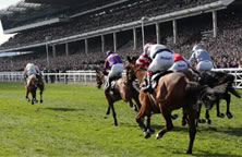 COURSE FACING GRANDSTAND BOX