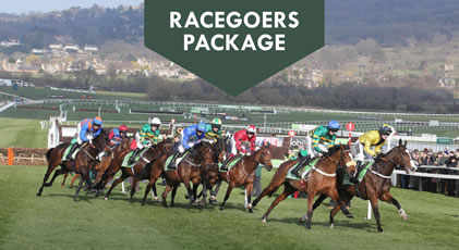 Cheltenham Festival Racegoers Package
