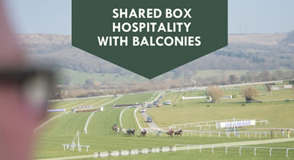Cheltenham Festival Executive Box Hospitality