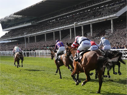 Cheltenham Showcase Meeting Private Course Facing Grandstand Box