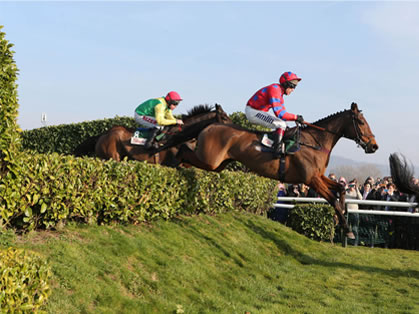 Cheltenham November Meeting Viewing Restaurant Hospitality