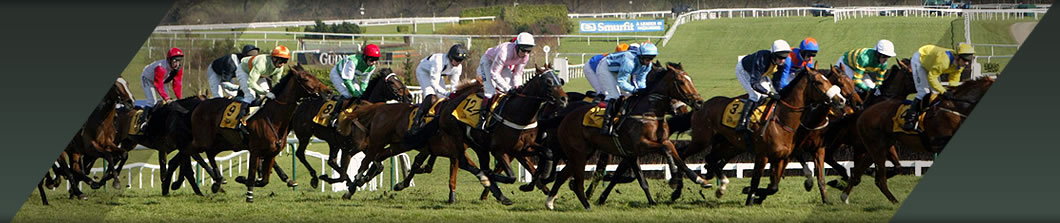 Cheltenham Hunter Chase Private Course Facing Grandstand Box