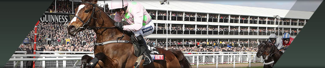 Cheltenham New Year Meeting Private Course Facing Grandstand Box