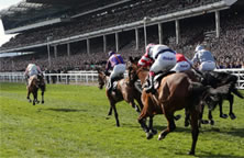 COURSE FACING GRANDSTAND BOX