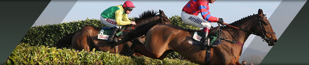 Cheltenham November Meeting Private Course Facing Grandstand Box