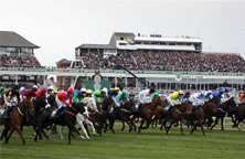 Grand National Festival