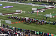 Punchestown Festival