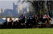 Windsor Racing / Boat Trips