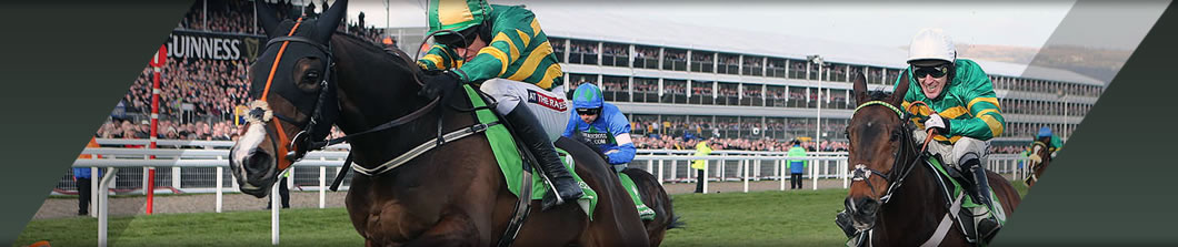 Cheltenham Festival Trials Private Course Facing Grandstand Box