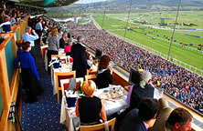 PANORAMIC RESTAURANT 